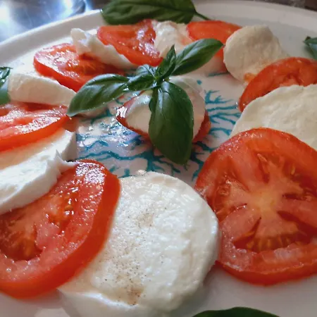 Cyrnea - Adults Only بورتو فيكشْيو