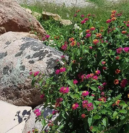 فندق مبيت وإفطار Cyrnea - Adults Only *