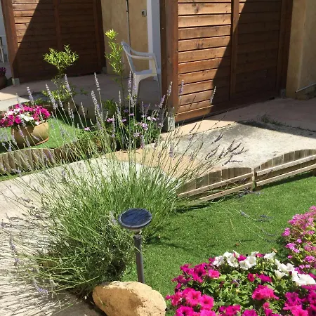 Cyrnea - Adults Only *