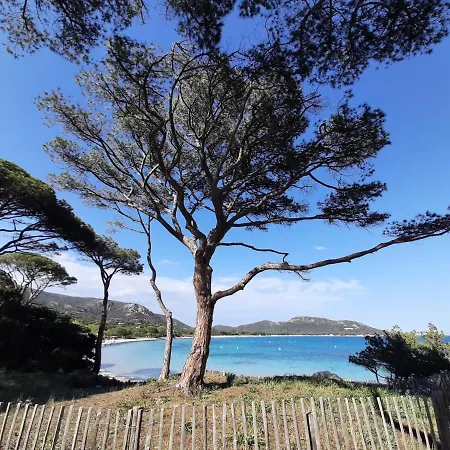 Cyrnea - Adults Only Porto-Vecchio (Corsica)