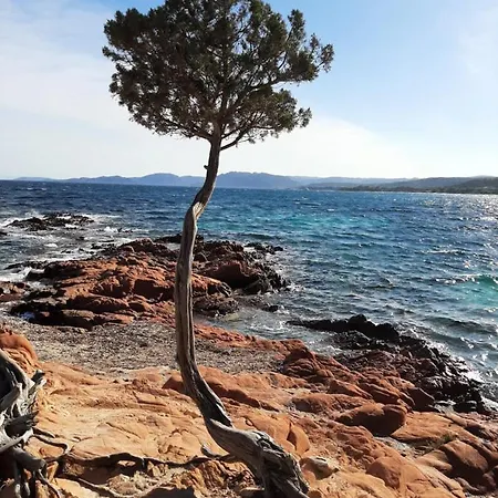 Bed & Breakfast Cyrnea - Adults Only