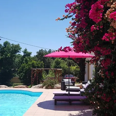 Cyrnea - Adults Only Bed & Breakfast