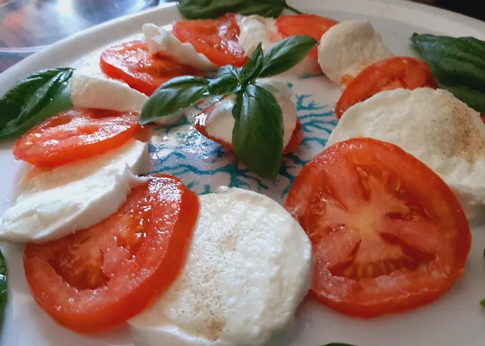 Cyrnea - Adults Only Porto-Vecchio (Corsica)