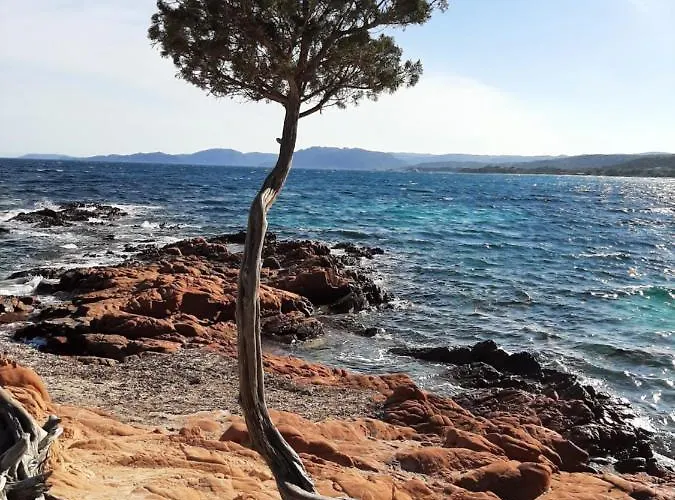 Frühstückspension Cyrnea - Adults Only