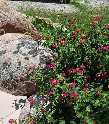 Frühstückspension Cyrnea - Adults Only *