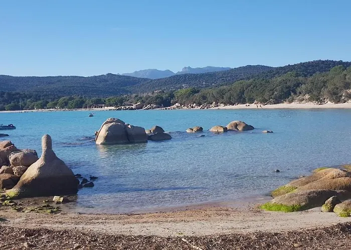 Cyrnea - Adults Only