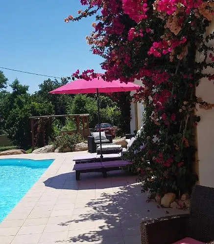 Frühstückspension Cyrnea - Adults Only